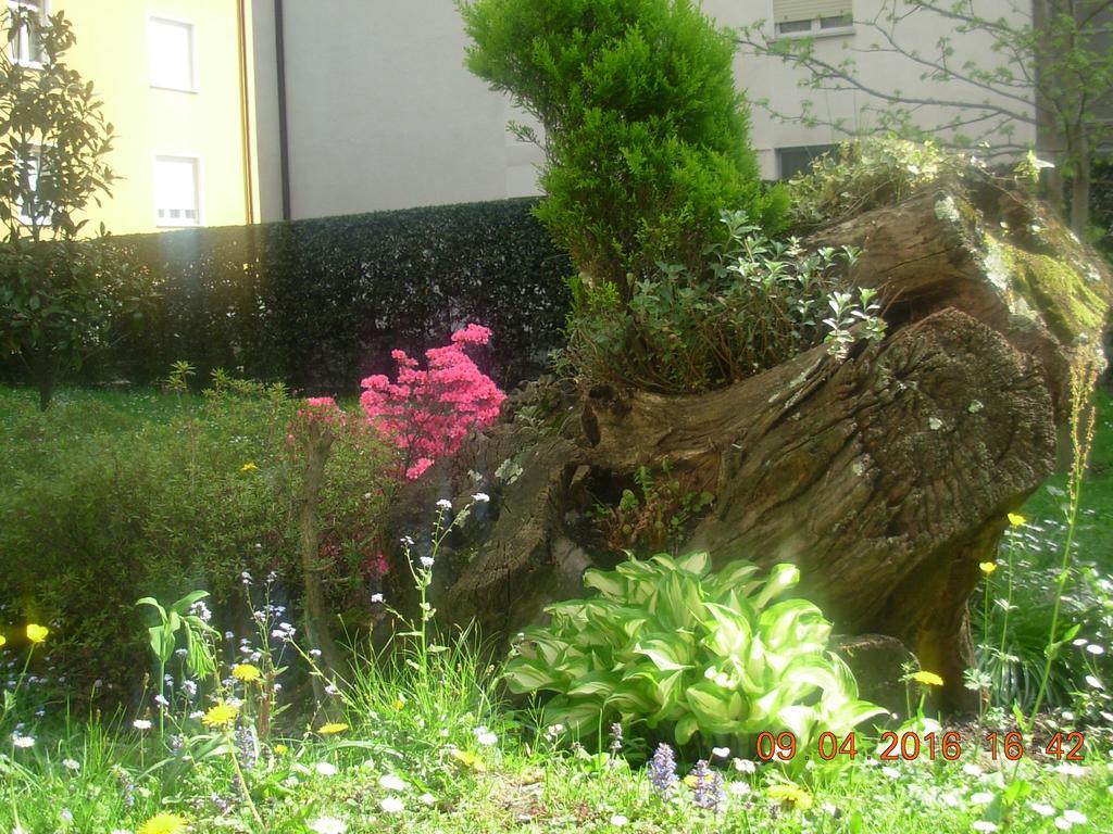 B&B I Pioppi Chiavenna Esterno foto